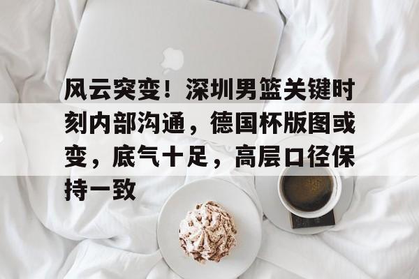 包含风云突变！深圳男篮关键时刻内部沟通，德国杯版图或变，底气十足，高层口径保持一致的词条